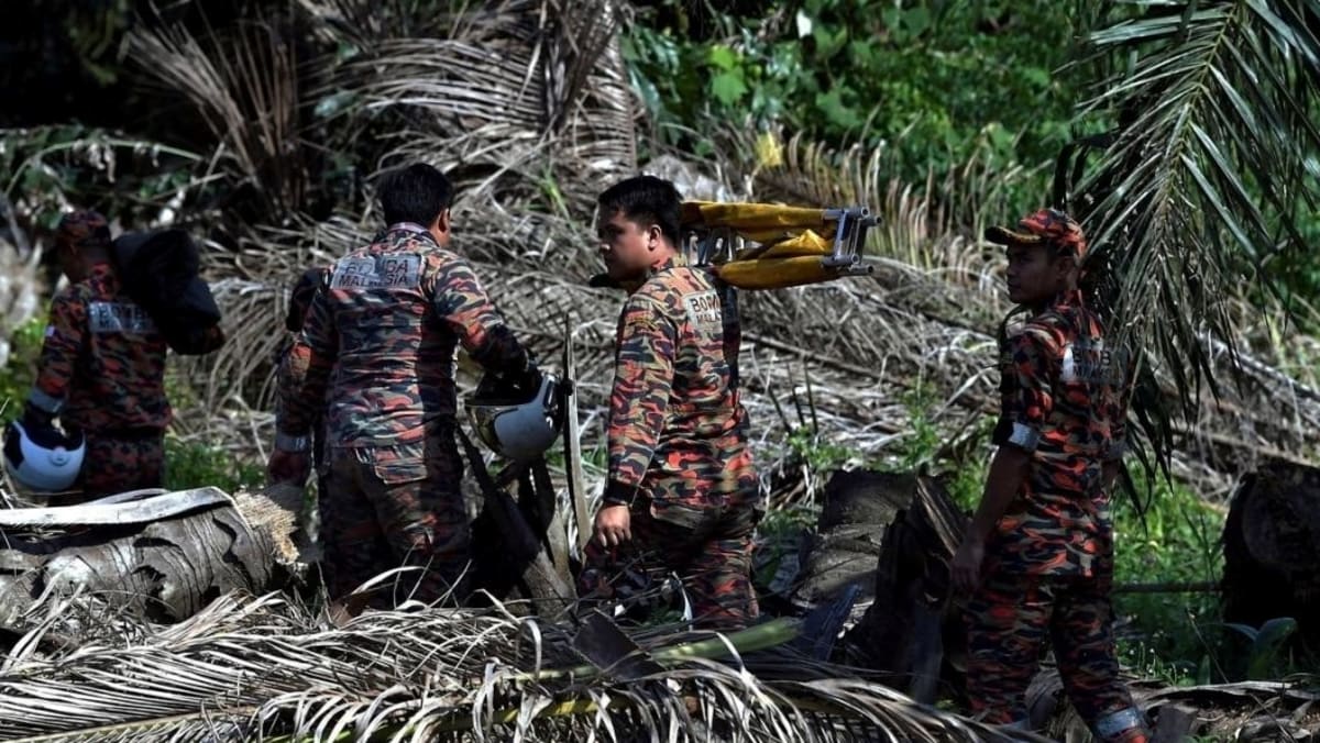 轻型飞机在马来西亚雪兰莪州附近城镇坠毁，造成两人死亡
