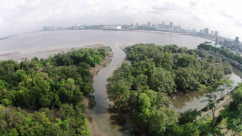Google will provide US$1 million to Singapore's Mandai Nature to tackle climate crisis Google will provide US$1 million to Singapore's Mandai Nature to tackle climate crisis