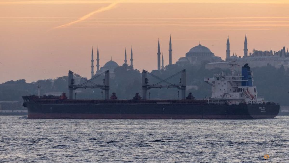 ExplainerCan Ukraine's grain deal ease the global food crisis? TODAY