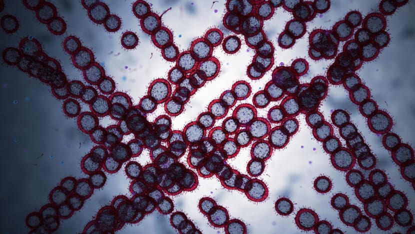 38 cases of drug-resistant Candida auris fungal infection reported in Singapore since 2019 38 cases of drug-resistant Candida auris fungal infection reported in Singapore since 2019