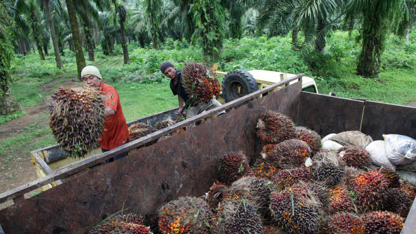 Indonesia sasar lancarkan harga tanda aras minyak sawit jelang Jun