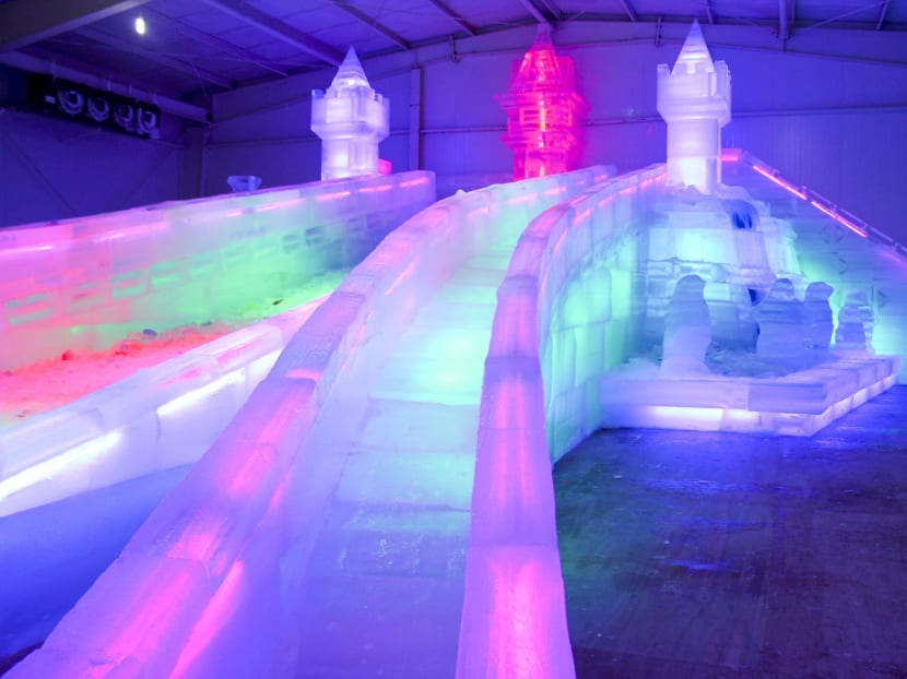 Gallery: 2 Degree Ice Art: A chilly experience