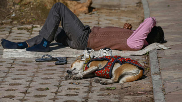 异常低温天气 印度新德里多名无家可归人被冻死