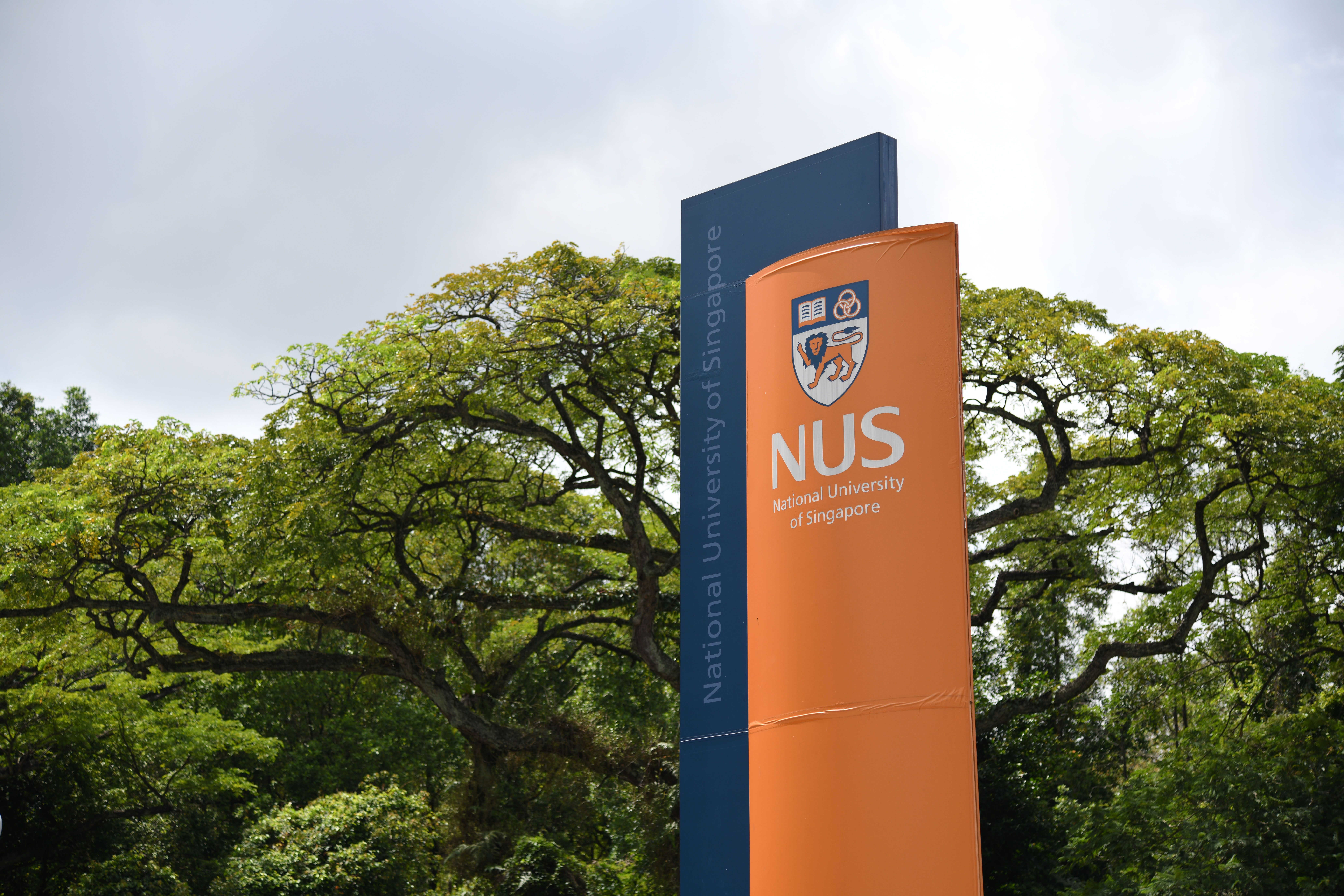 Singapore universities assessing impact after global cyberattack on educational tool Canvas