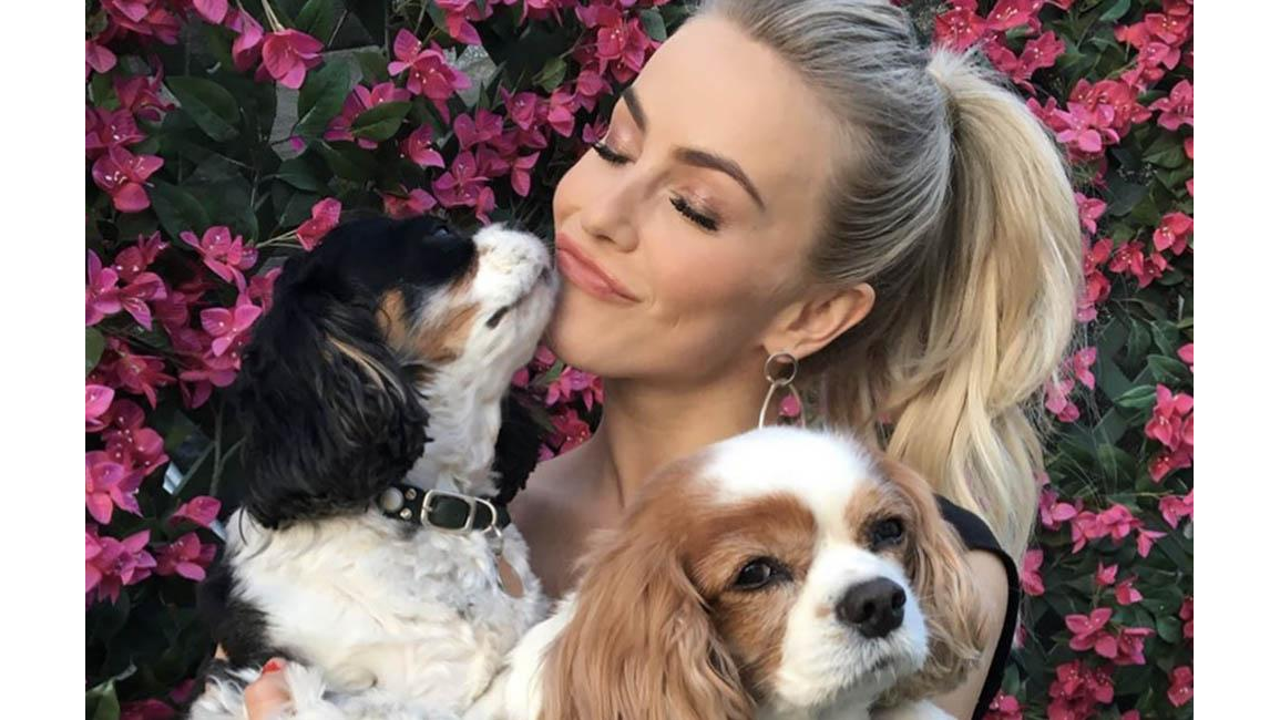 Julianne Hough mourns death of dogs 8days