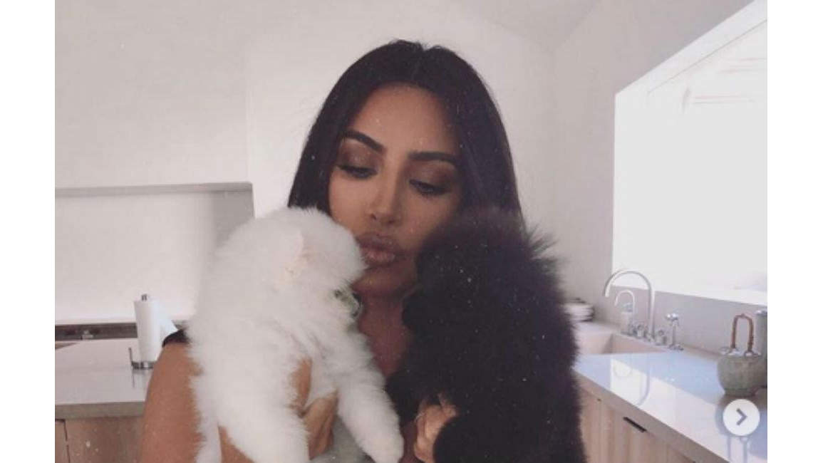 Kim Kardashian West Gets Two New Pups 8days