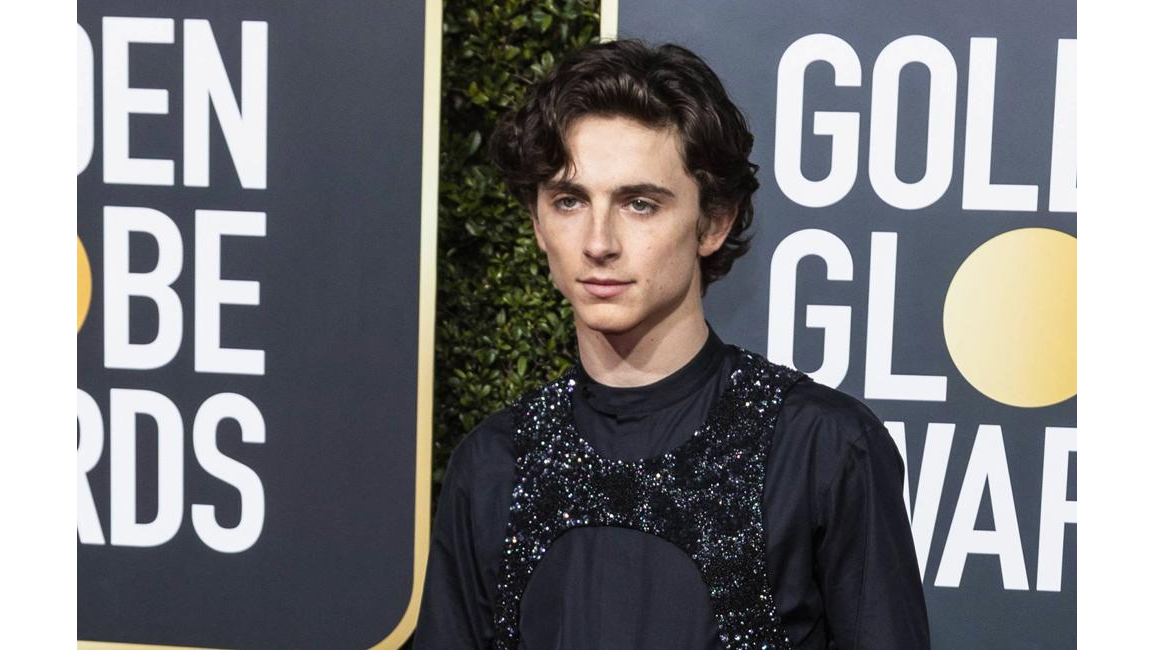 Timothee Chalamet I Didnt Wear A Sex Harness At Golden Globes 8days