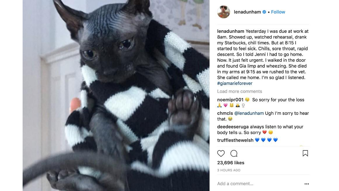 Lena Dunham's cat has died 8 Days