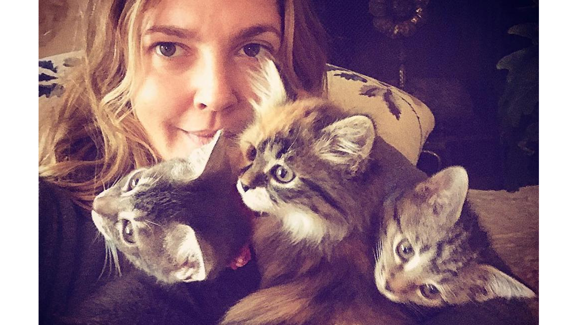 Drew Barrymore is 'crazy cat lady' 8days