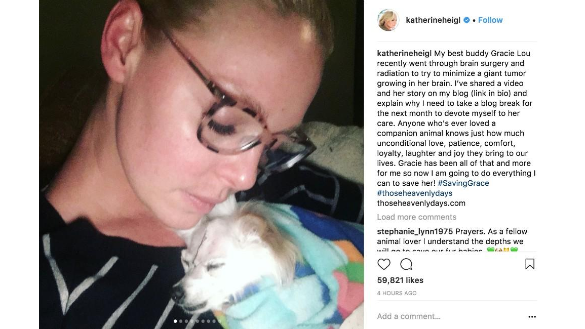 Katherine Heigl's pooch heartbreak 8days