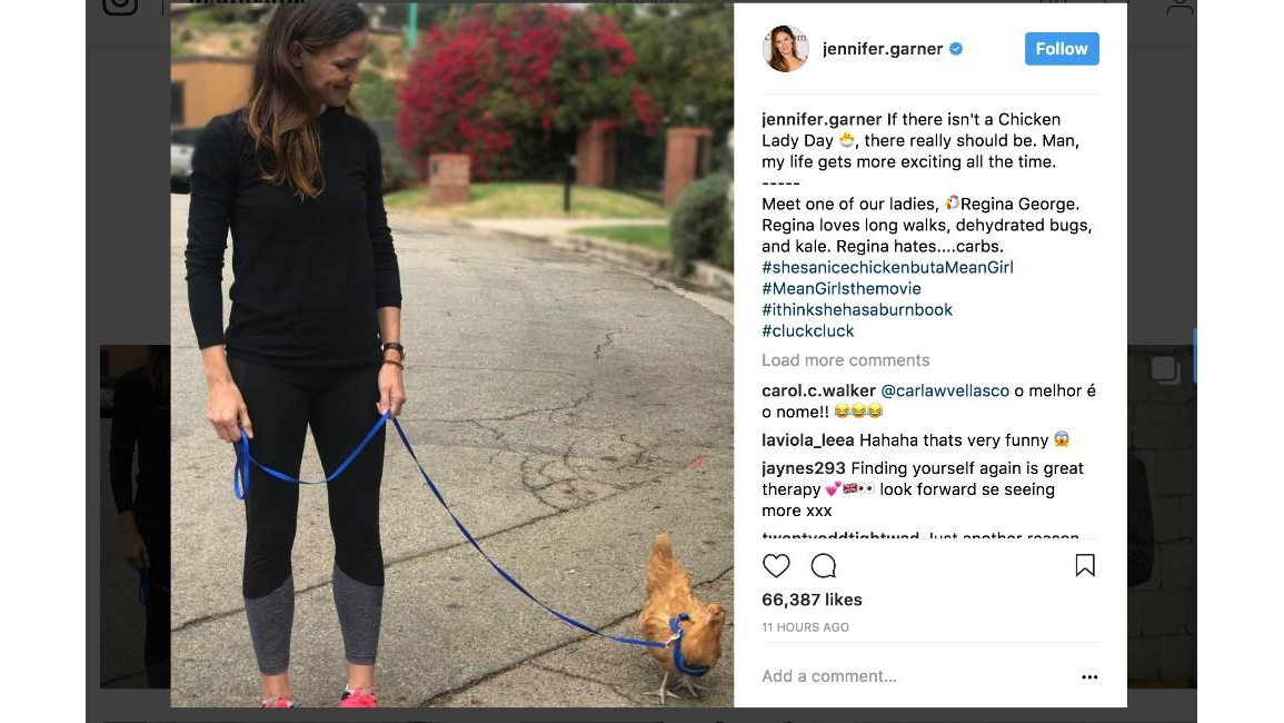 Jennifer Garner Owns Chickens - 8days