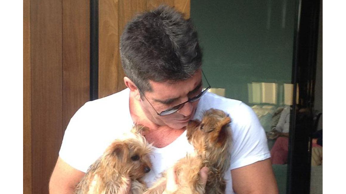 Simon Cowell's dog thinks she's a boy 8days