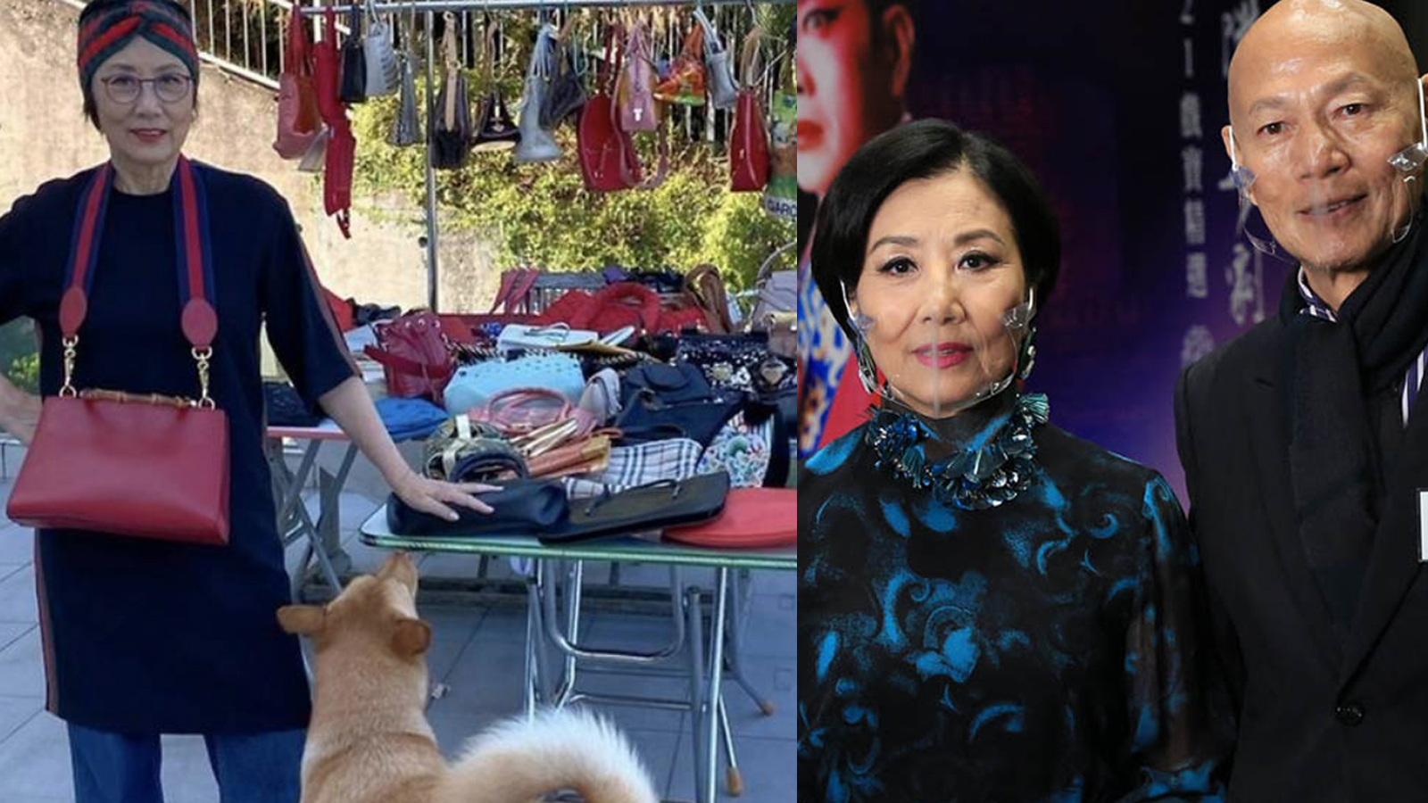 Law Kar Ying Says The Bags Liza Wang Sunned On Their Porch Are Worth ...