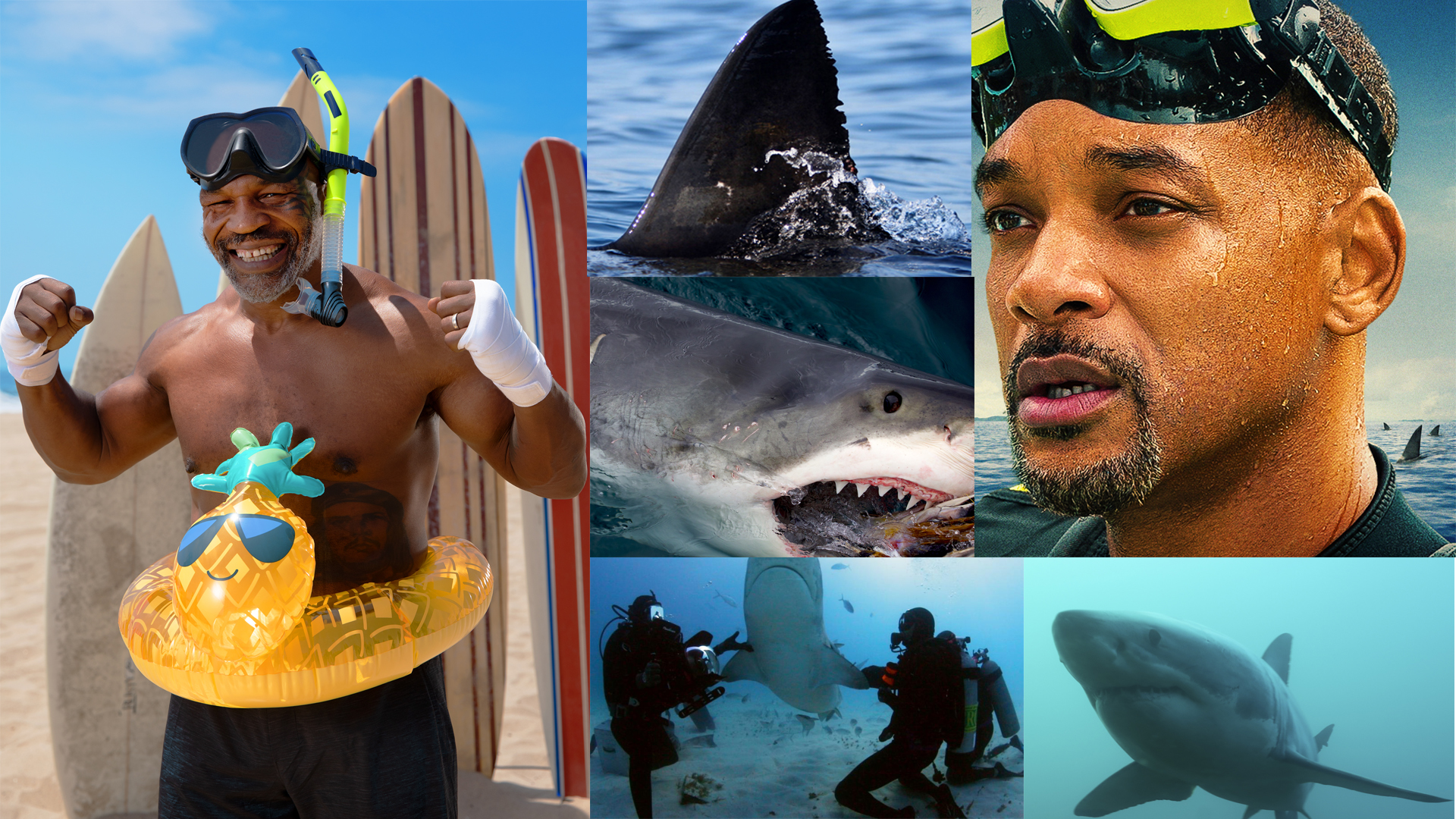 Will Smith, Mike Tyson, Shaquille O' Neal Lead This Year’s Shark Week