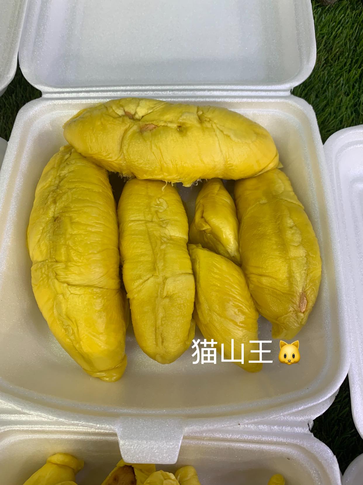 Durian Stalls Now Selling Pahang Mao Shan Wang For $12/Kg - 8 Days