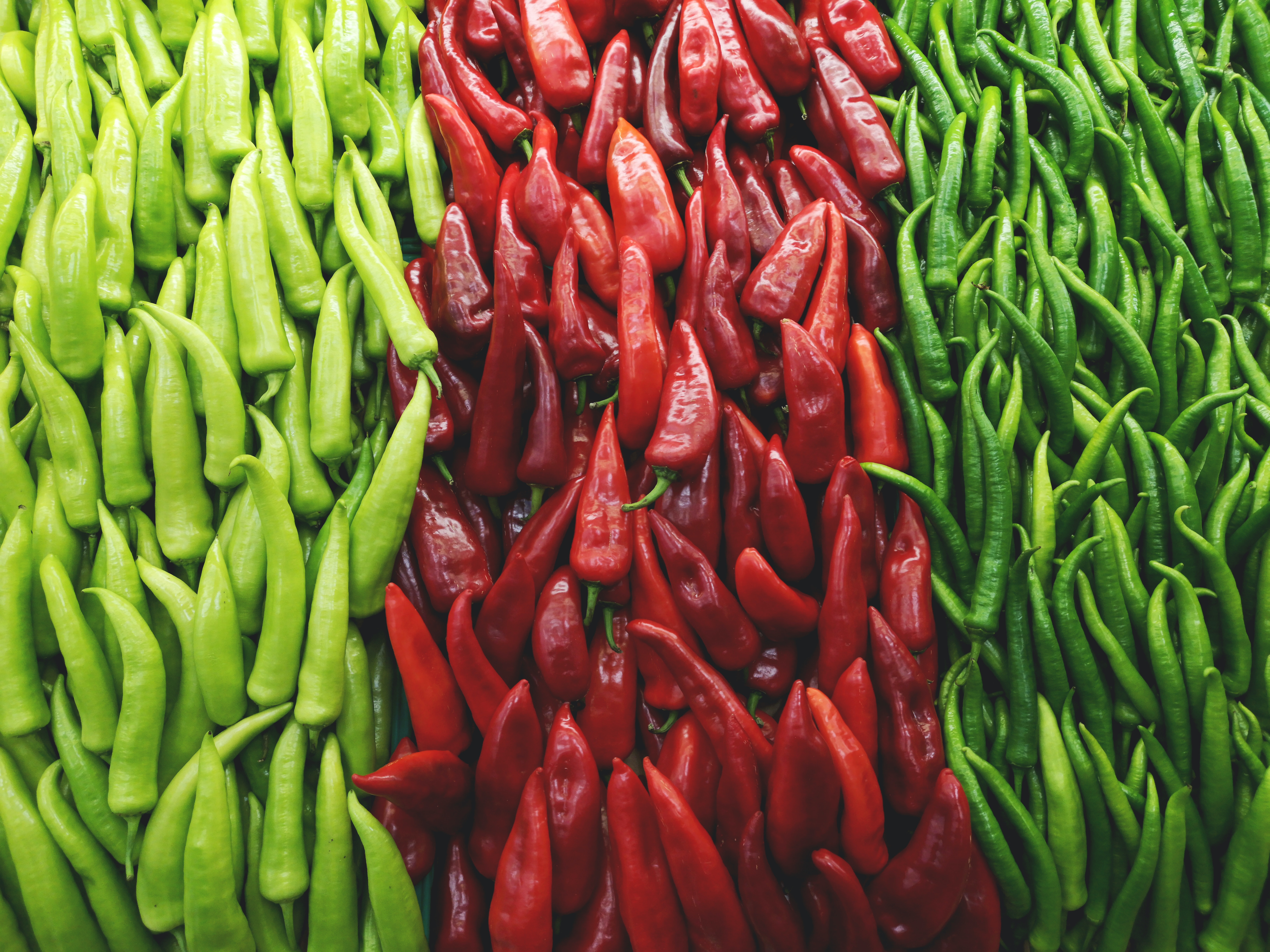 chilli cili