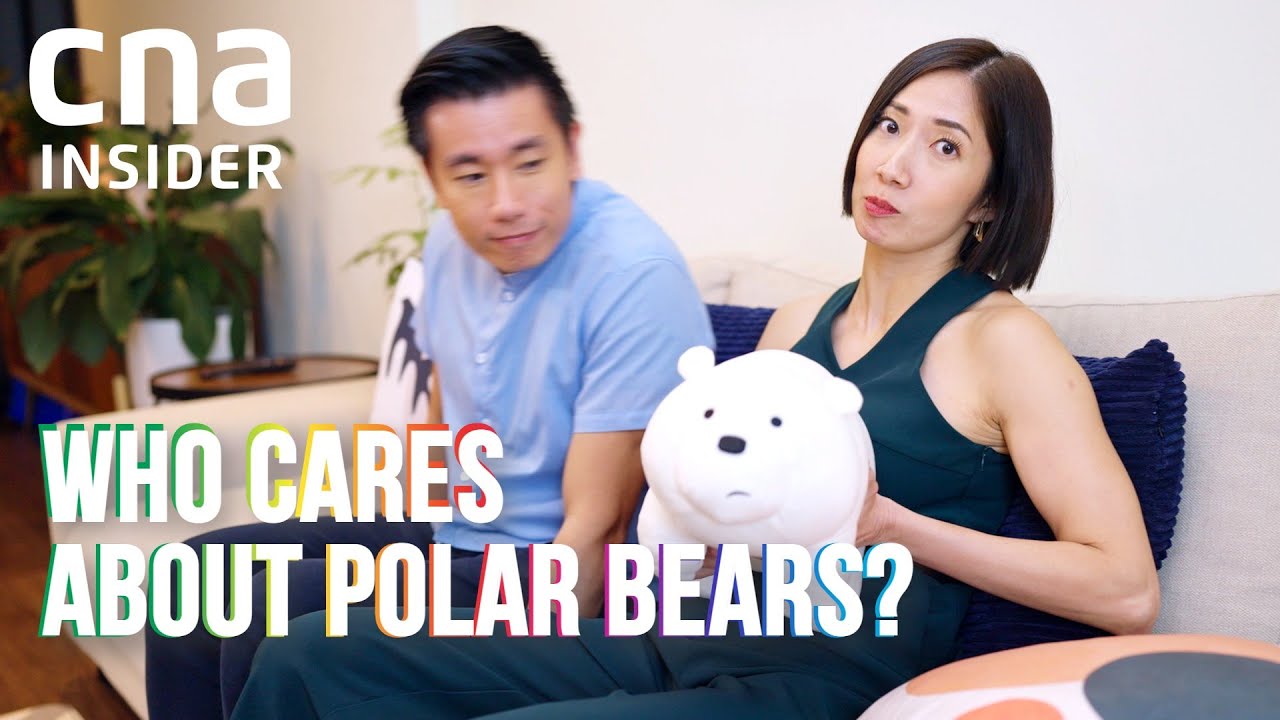 polar bears