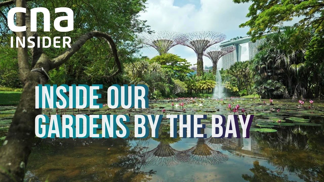 Gardens by the Bay