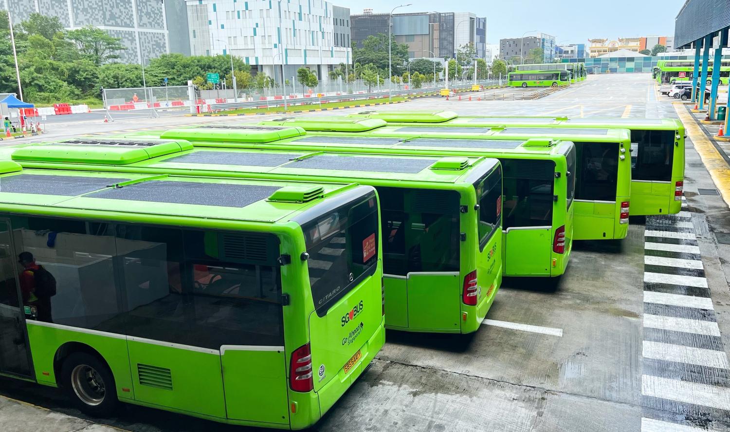 Go-Ahead Singapore to run 27 bus routes in Tampines, taking over from SBS Transit
