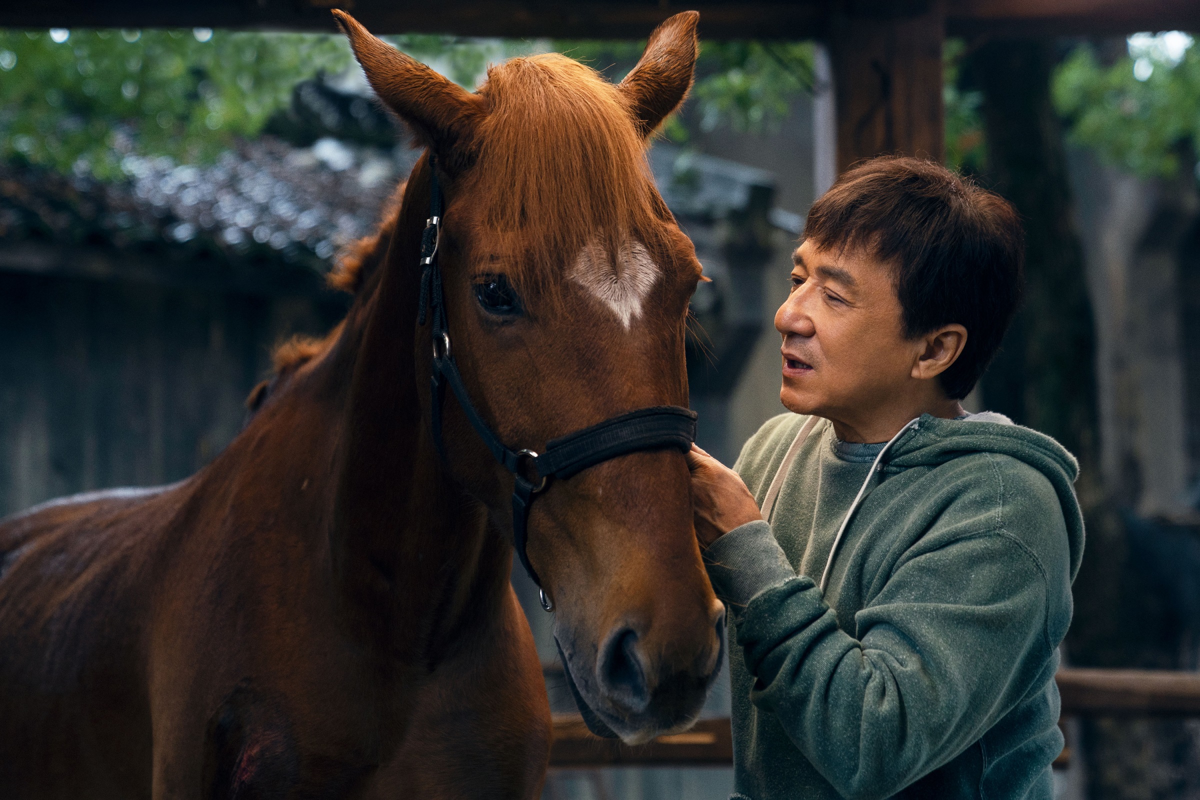 Ride On Review Jackie Chan Looks Back At DeathDefying Career In