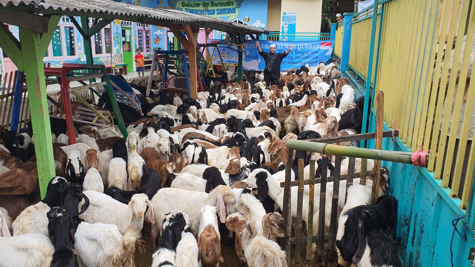 Sebanyak 729 kambing korban diuruskan pihak PERDAUS di Malang. (Gambar: PERDAUS)