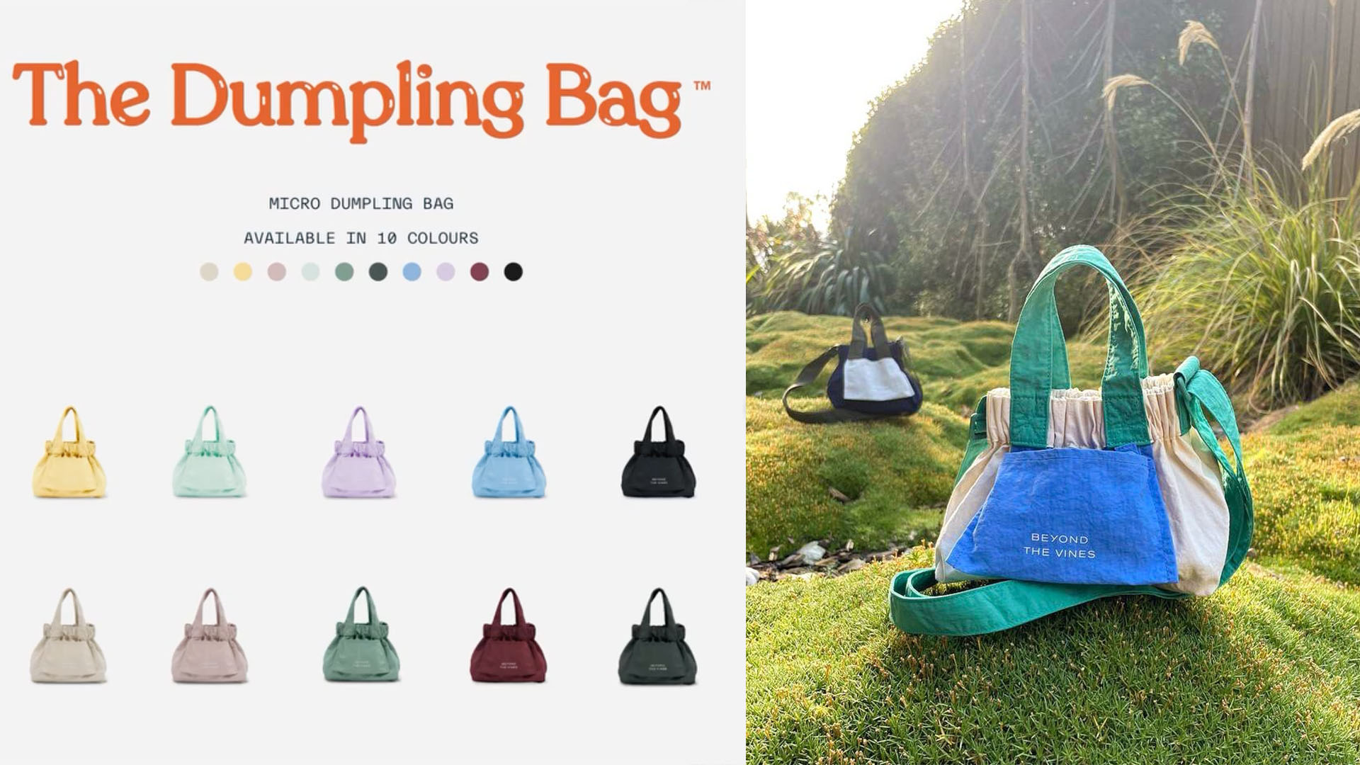 Btv dumpling cheap bag