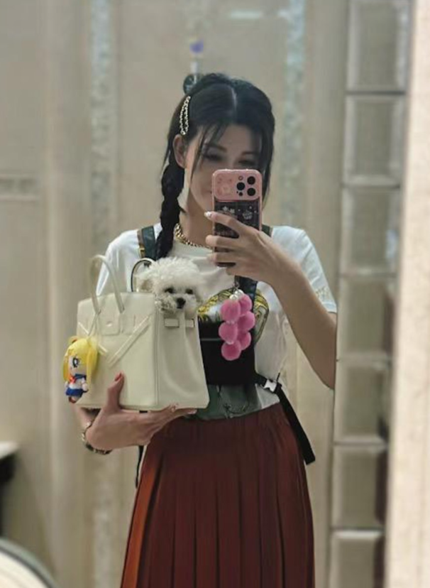 HK star Rain Li uses Hermes Birkin bag as dog carrier - TODAY