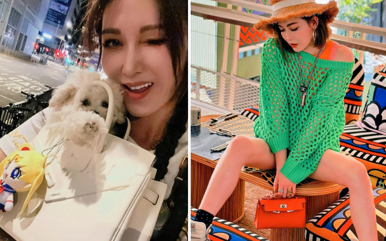 HK Star Rain Li Uses Hermès Birkin Bag As Dog Carrier - 8days