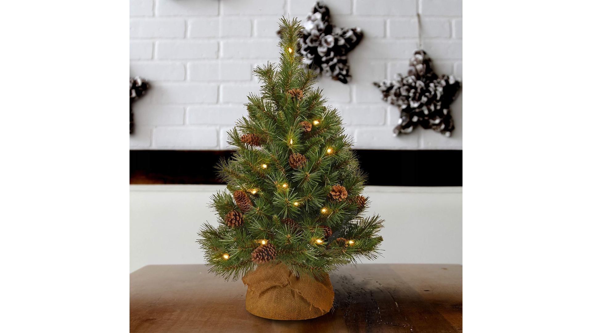 Where To Buy Christmas Trees In Singapore Suitable For Any Space & Home
