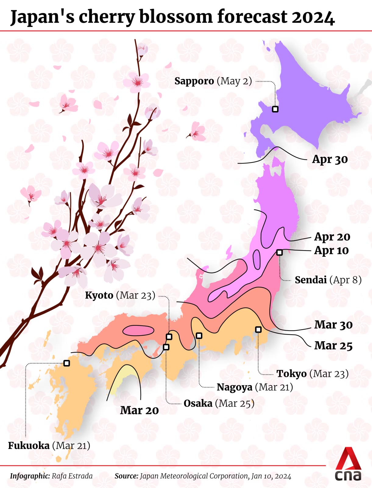 When Can You Catch Cherry Blossoms In Japan In 2024? The First Sakura