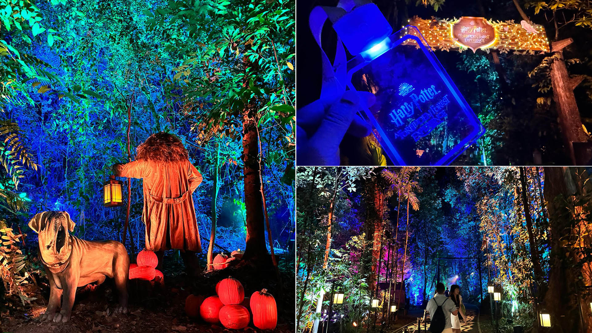 What To Expect At The Harry Potter Forbidden Forest Experience In