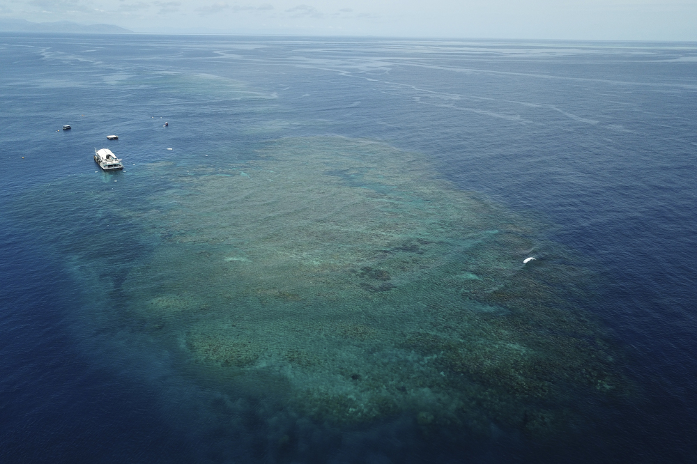 Man dies after shark attack at Australia's Great Barrier Reef