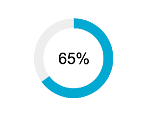 Credit Card Ownership