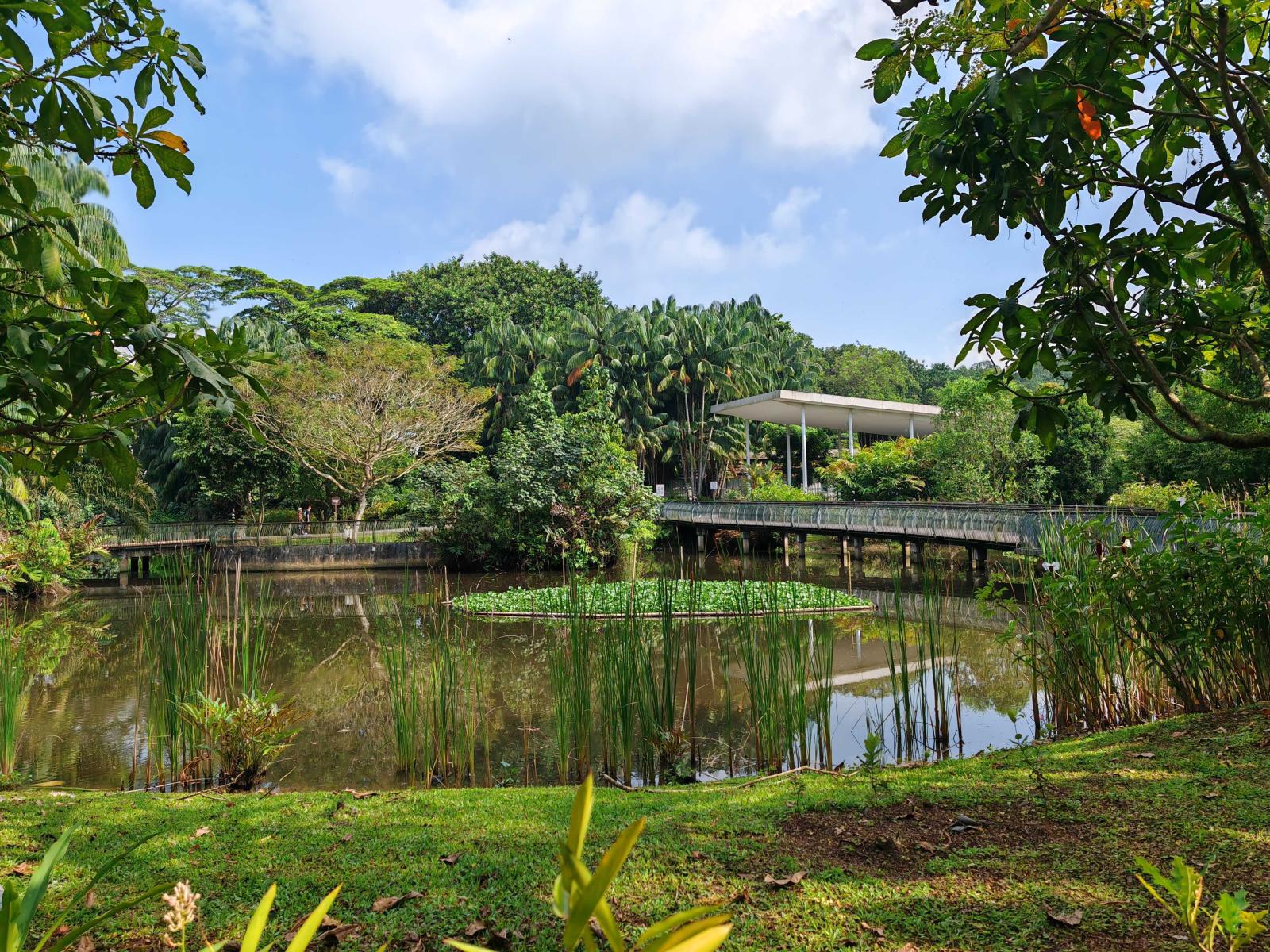 Parts of Sungei Buloh could flood by design under coastal protection plans for northwest Singapore