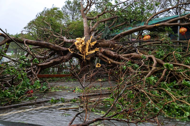 Typhoon Bualoi death toll rises to 19 in Vietnam