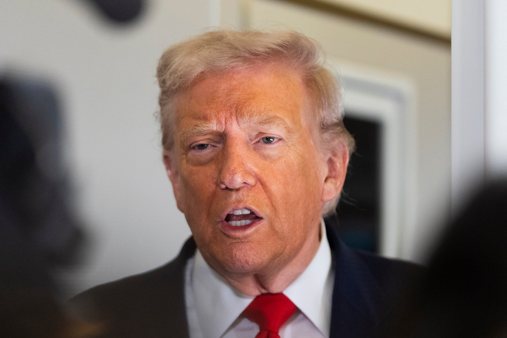 Trump says US immigration raids 'haven't gone far enough' 