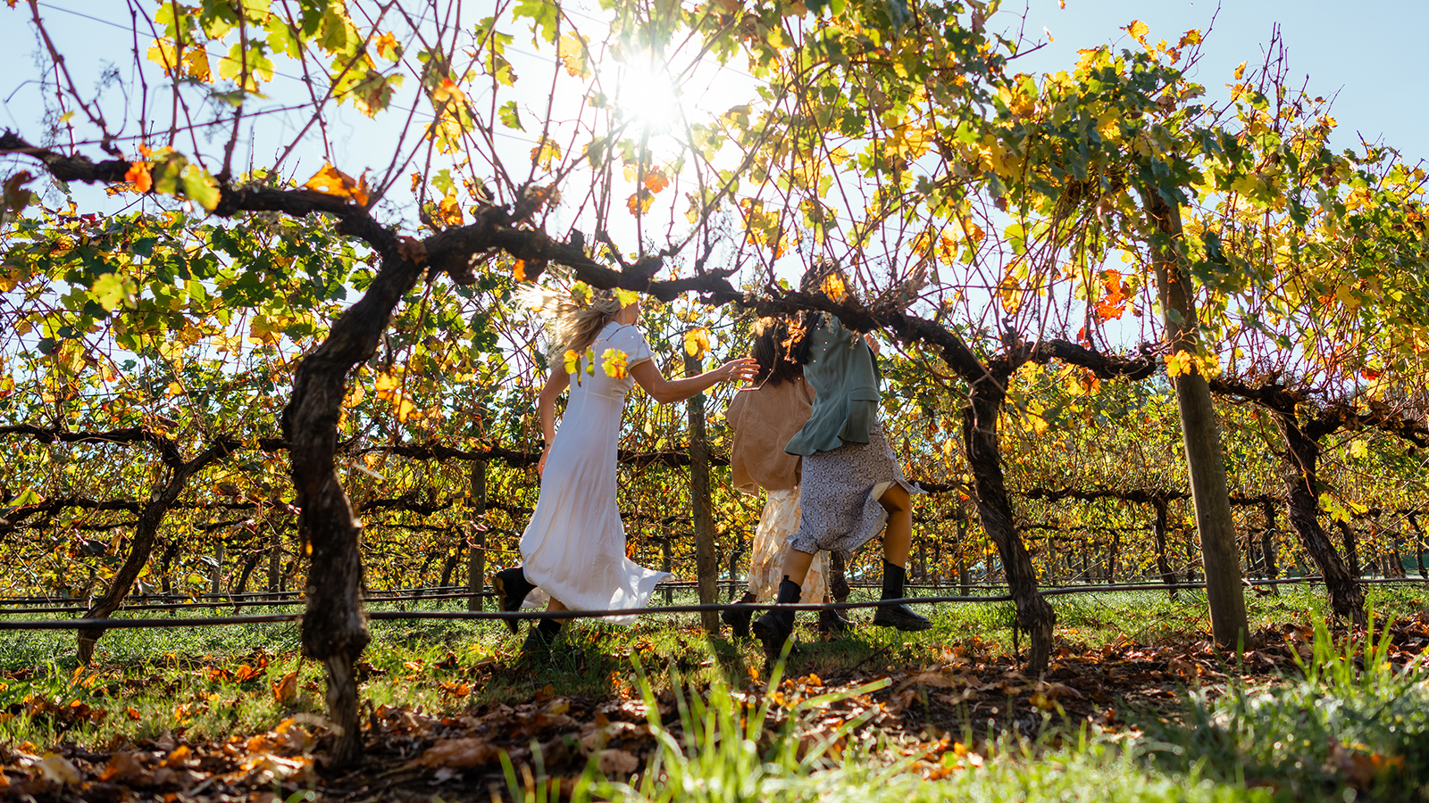 Scenery, food, culture: Uncover 5 autumn gems in Melbourne, Victoria