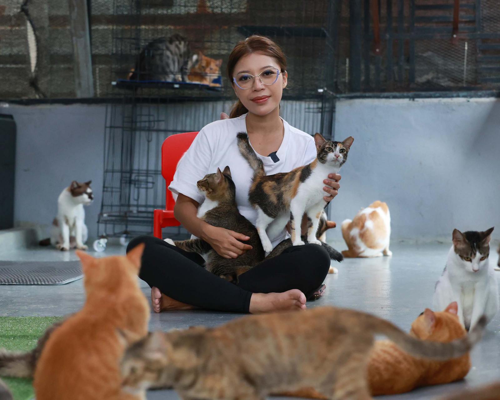 This Singapore marriage counsellor is selling her car to help fund a quest to save JB's street cats