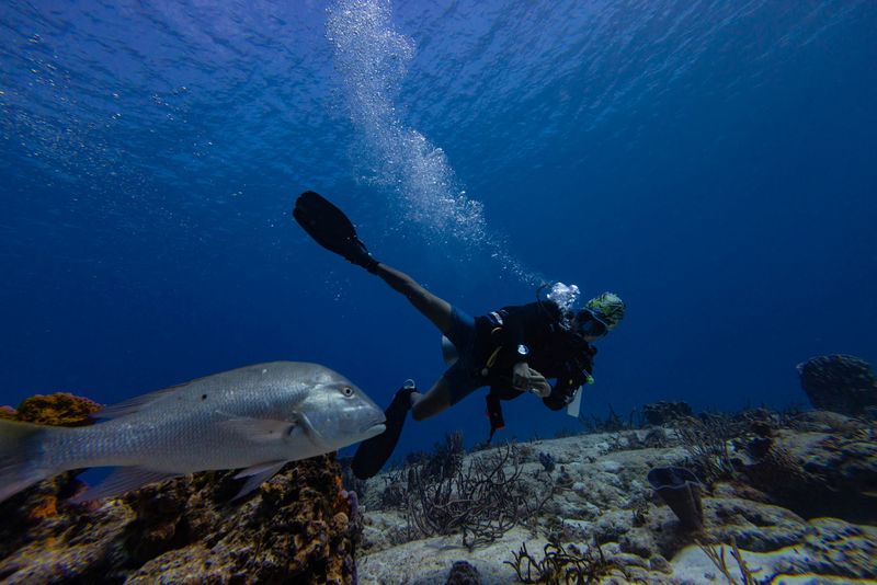 As the UN's High Seas Treaty takes effect, what does it mean for Southeast Asia?