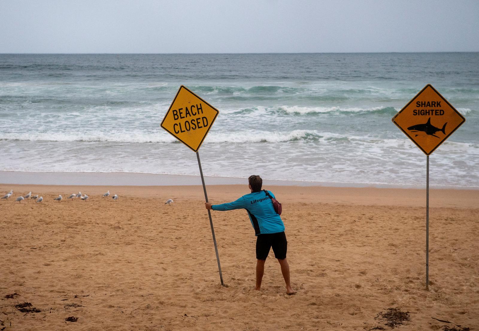 Sydney beaches stay closed after three shark attacks in two days