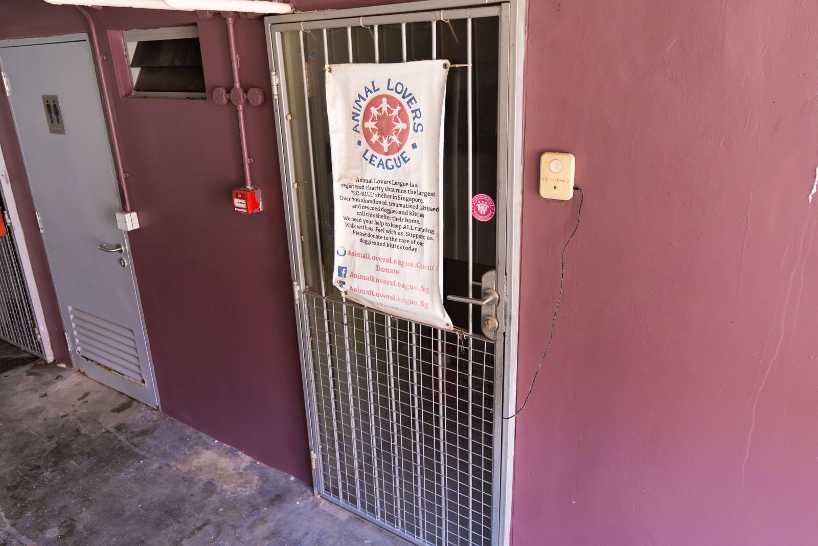 Commissioner of Charities opens inquiry into animal shelter Animal Lovers League