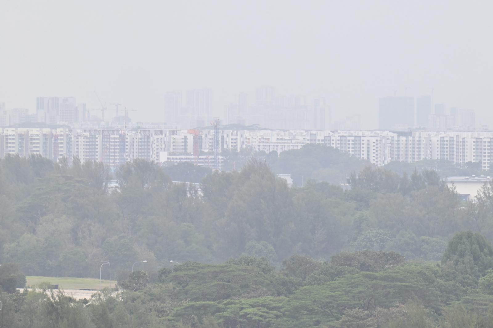 Burning smell across Singapore may be due to 'mixture of gases' from region's peatland, vegetation fires: NEA