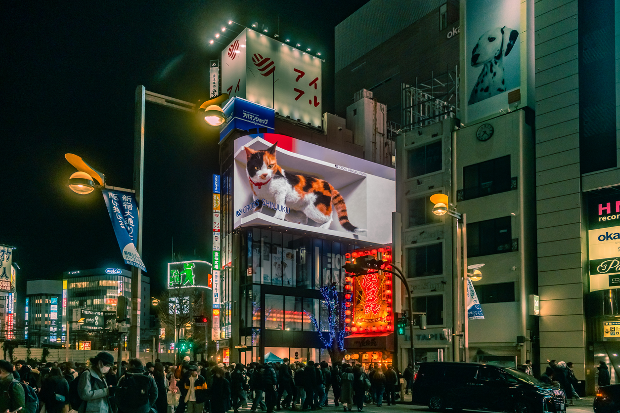 Commentary: Hello, Kitty - Japan’s US$20 billion cat boom 