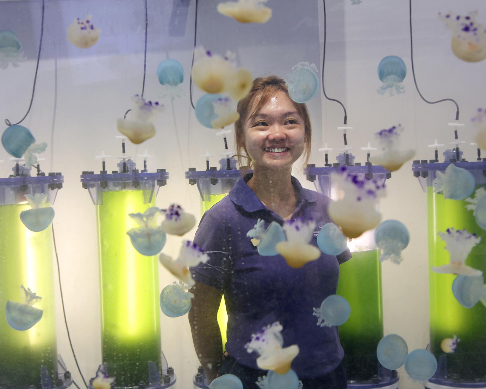 An underwater revelation led this Singaporean to quit a safe retailing career to nurture sea jellies