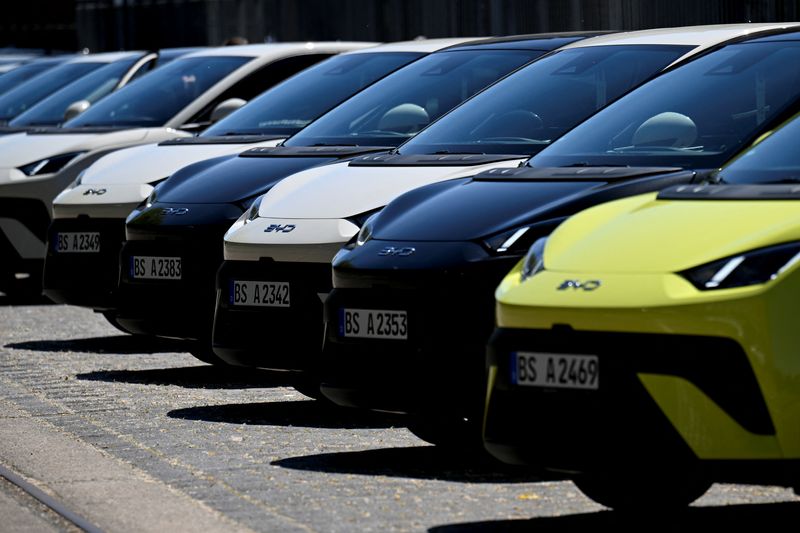 BYD's quarterly profit slides fastest in six years as China sales falter