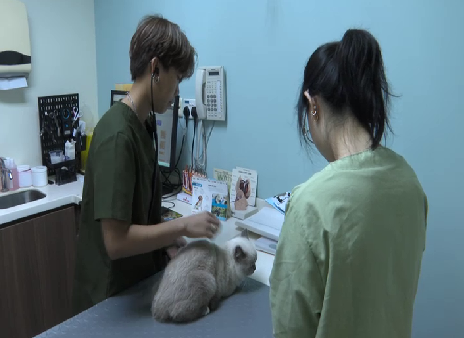 Engagement with vets to continue to ensure stricter rules don’t raise costs, say industry players