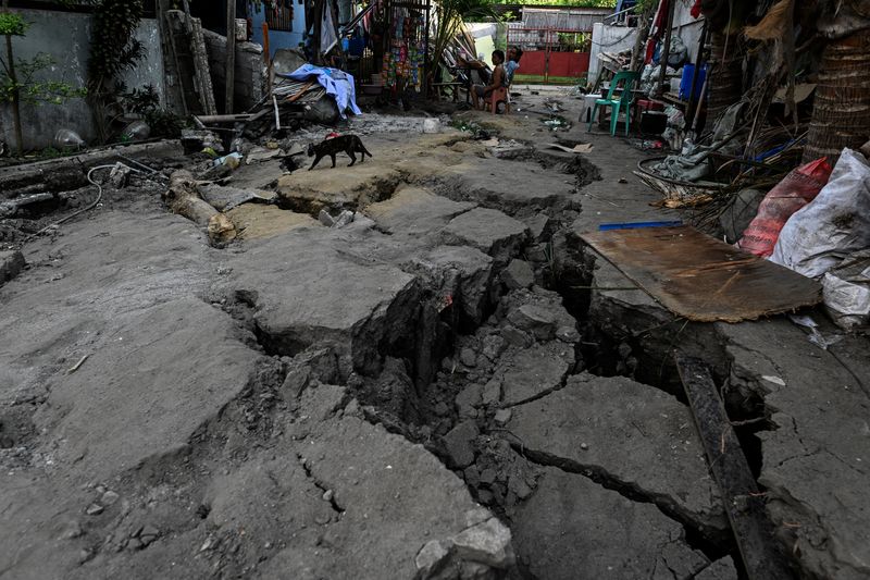 Death toll from Philippines quake rises to 46
