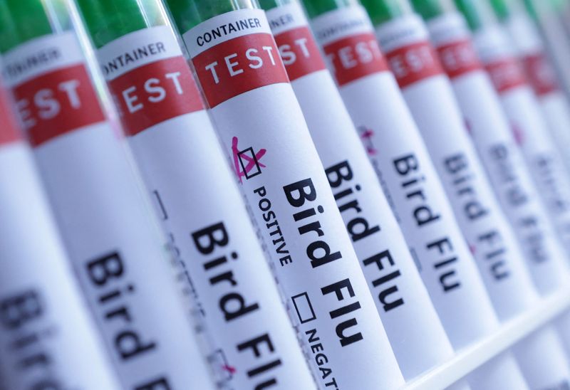 Australia detects first case of contagious H5 bird flu