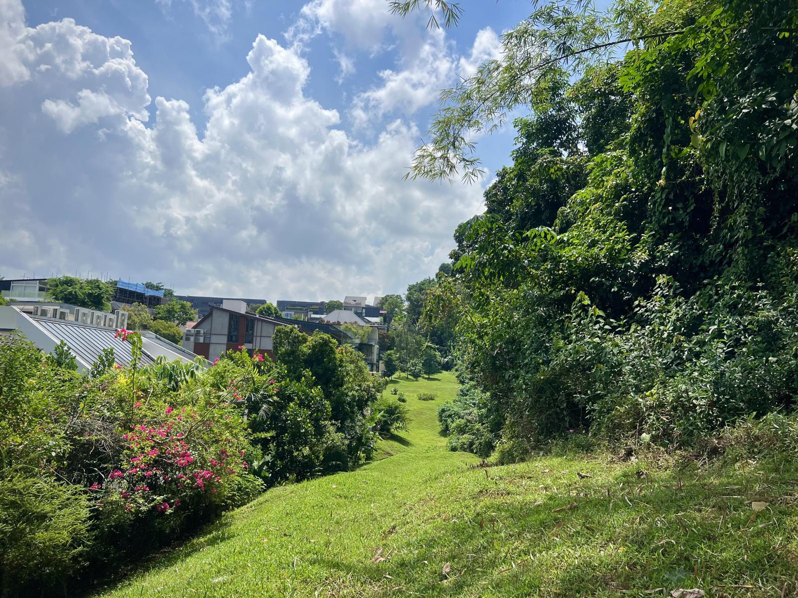 Nature groups welcome revised Maju Forest and Gillman Barracks housing plans, but maintain need for safeguards