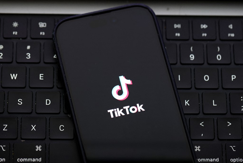 Online Safety Commission acts against TikTok post linking woman to Faishal's resignation